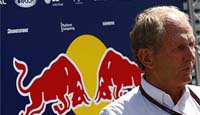 f1 helmut marko red bull 2010