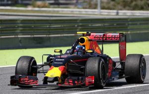 Max Verstappen