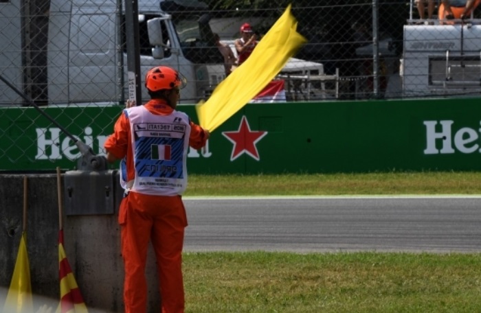 Fórmula 1 tem bandeira amarela por causa de um lagarto